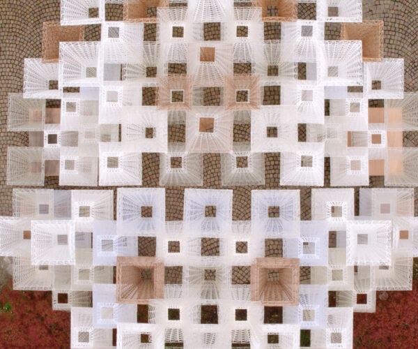 COS x Mamou-Mani - Conifera (1)